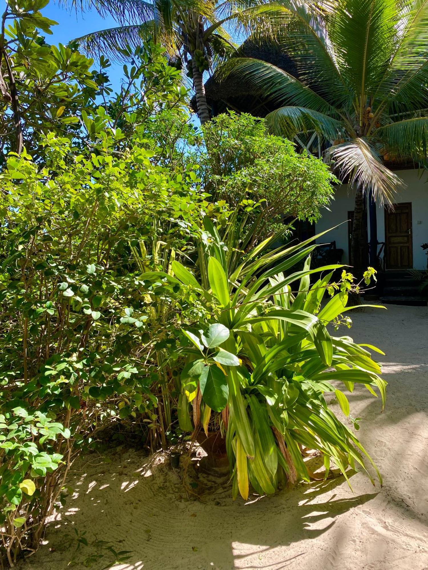 The Seles Boutique Hotel Gazija エクステリア 写真